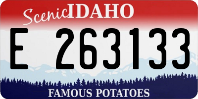 ID license plate E263133