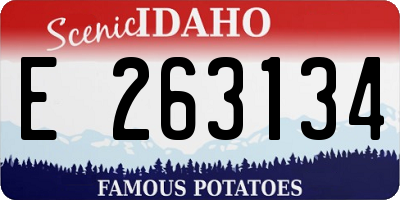 ID license plate E263134