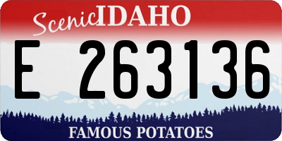 ID license plate E263136