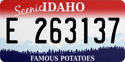 ID license plate E263137