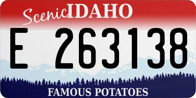 ID license plate E263138