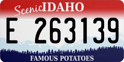 ID license plate E263139