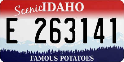 ID license plate E263141