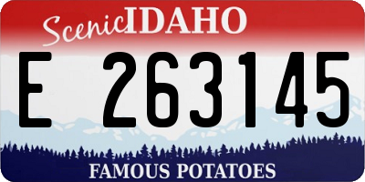 ID license plate E263145