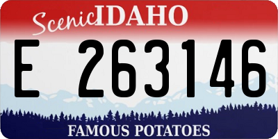 ID license plate E263146