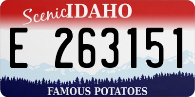 ID license plate E263151