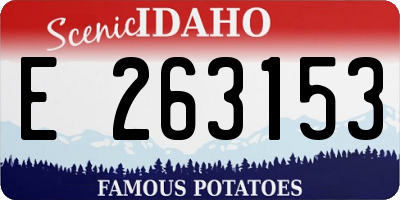 ID license plate E263153