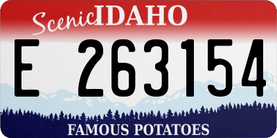 ID license plate E263154