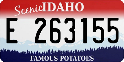 ID license plate E263155