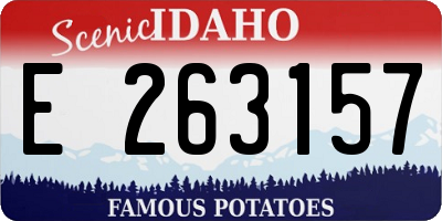 ID license plate E263157