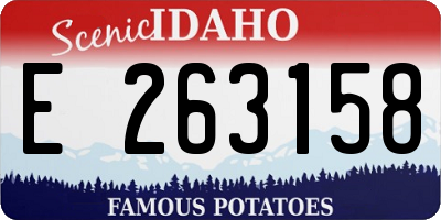 ID license plate E263158