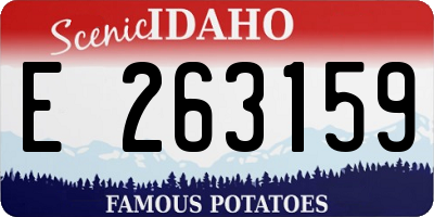 ID license plate E263159
