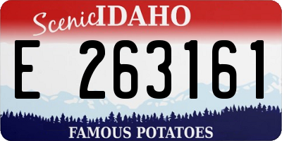 ID license plate E263161