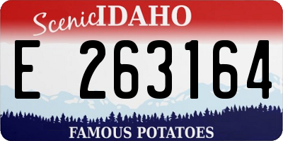 ID license plate E263164