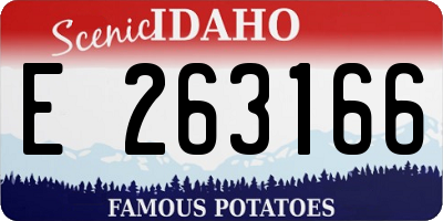 ID license plate E263166