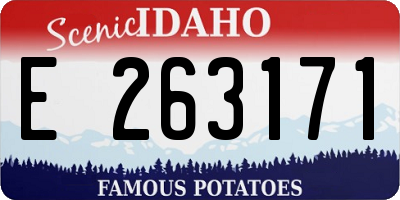 ID license plate E263171