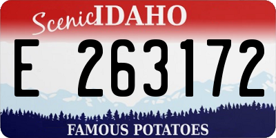 ID license plate E263172