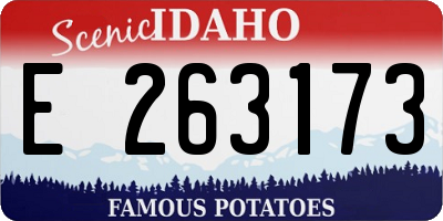 ID license plate E263173