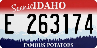 ID license plate E263174