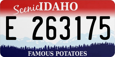 ID license plate E263175