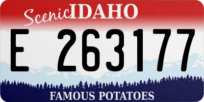 ID license plate E263177