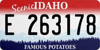 ID license plate E263178