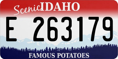 ID license plate E263179