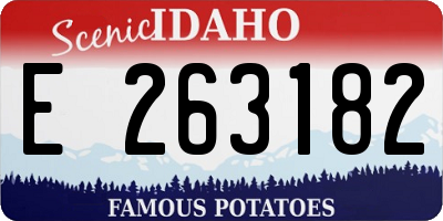 ID license plate E263182