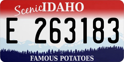 ID license plate E263183