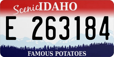 ID license plate E263184