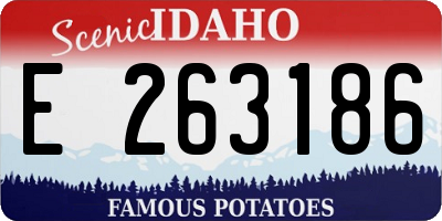 ID license plate E263186