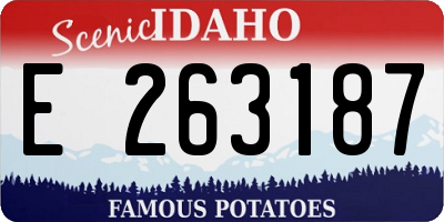 ID license plate E263187