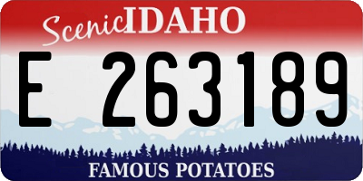 ID license plate E263189