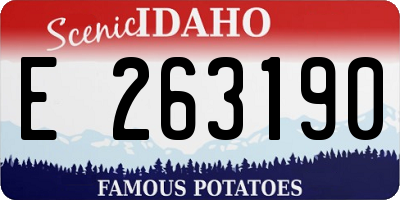 ID license plate E263190