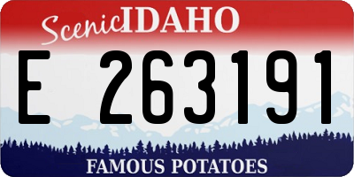 ID license plate E263191