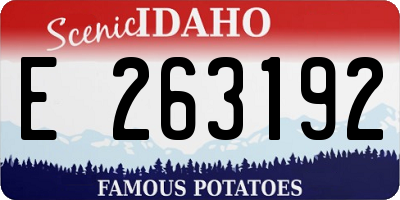 ID license plate E263192