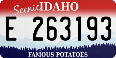 ID license plate E263193