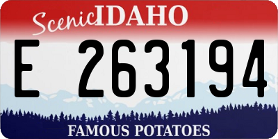 ID license plate E263194
