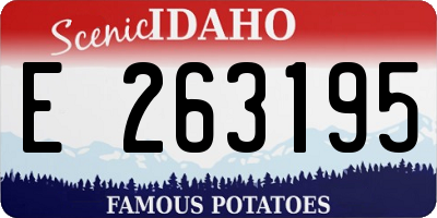 ID license plate E263195