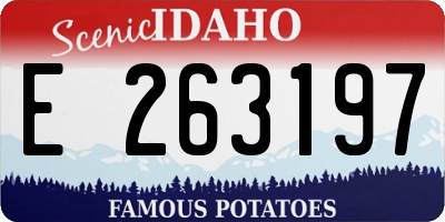 ID license plate E263197