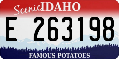 ID license plate E263198