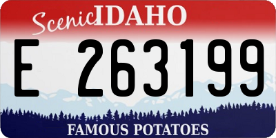 ID license plate E263199