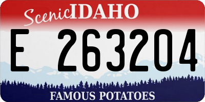 ID license plate E263204