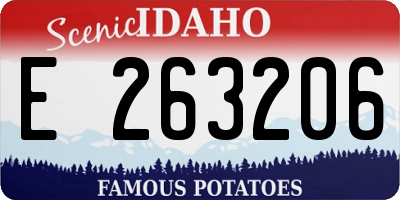 ID license plate E263206