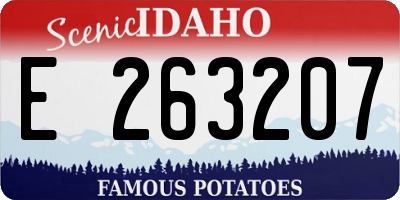 ID license plate E263207
