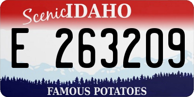 ID license plate E263209