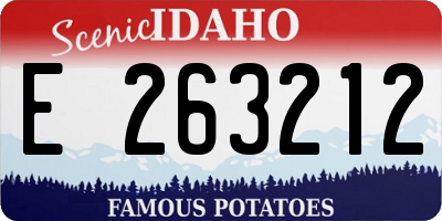 ID license plate E263212
