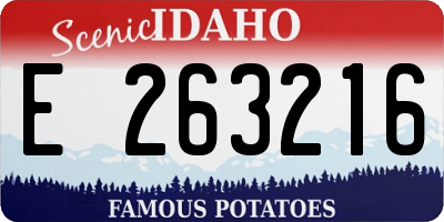 ID license plate E263216