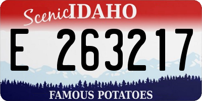 ID license plate E263217