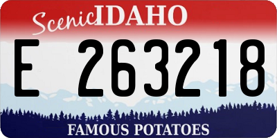 ID license plate E263218